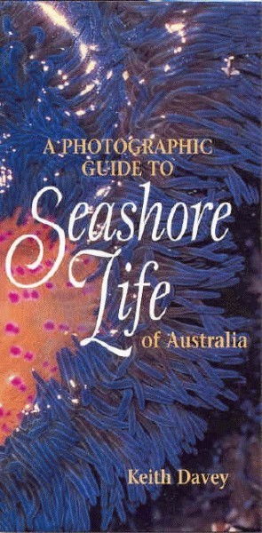 Cover art for Photographic Guide to Seashore Life