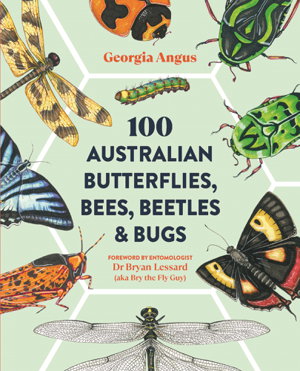 Cover art for 100 Australian Butterflies, Bees, Beetles & Bugs