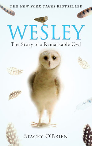 Cover art for Wesley
