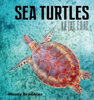 Cover art for Sea Turtles On The Edge