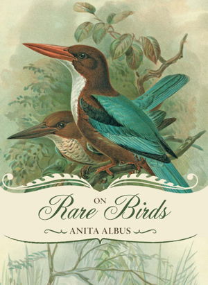 Cover art for On Rare Birds