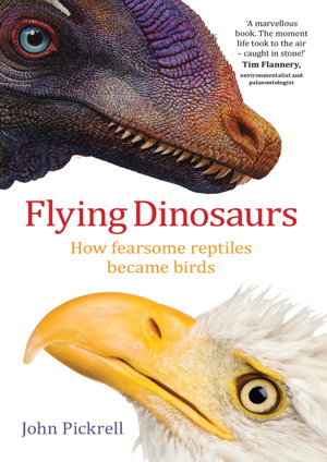 Cover art for Flying Dinosaurs