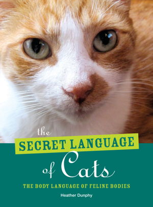 Cover art for Secret Language of Cats