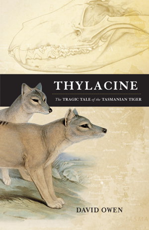 Cover art for Thylacine