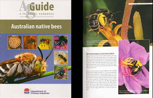 Cover art for Australian Native Bees AgGuide