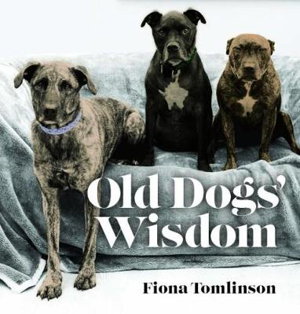 Cover art for Old Dog Wisdom
