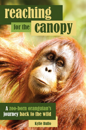 Cover art for Reaching for the Canopy