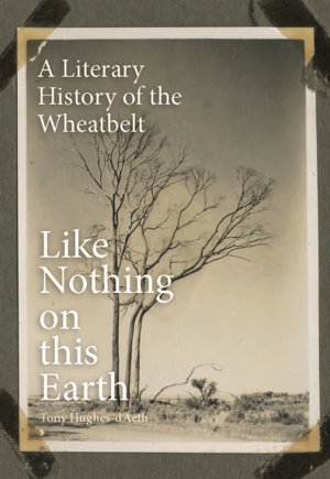 Cover art for Like Nothing on this Earth