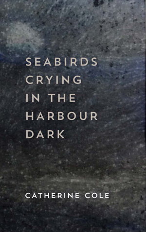 Cover art for Seabirds Crying in the Harbour Dark