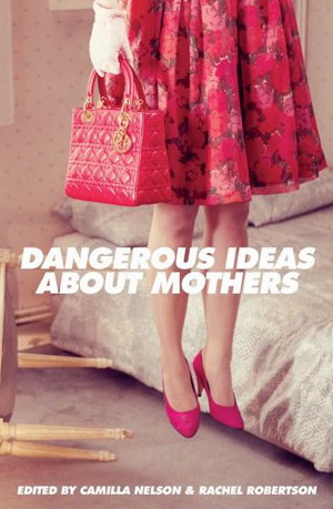 Cover art for Dangerous Ideas About Mothers