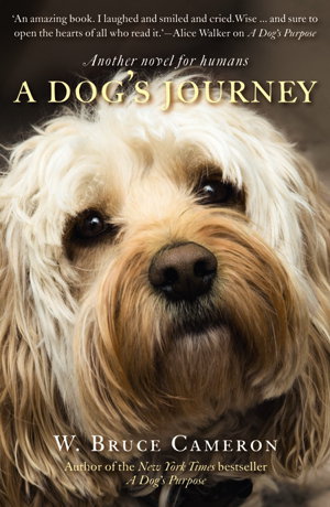 Cover art for A Dog's Journey