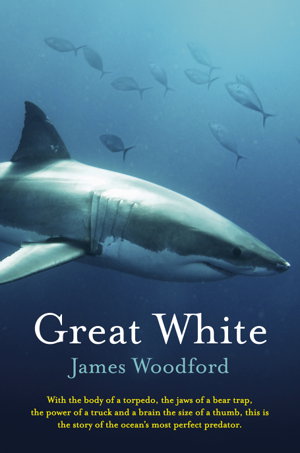 Cover art for Great White
