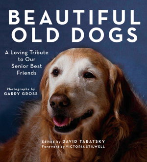 Cover art for Beautiful Old Dogs