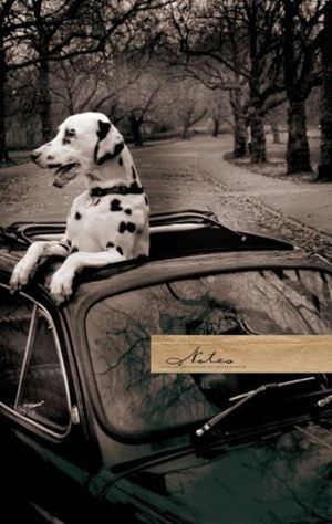 Cover art for European Journal Small Dalmation in Car