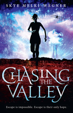 Cover art for Chasing the Valley