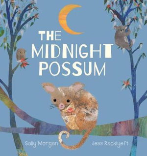 Cover art for Midnight Possum
