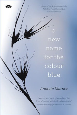 Cover art for A New Name for the Colour Blue