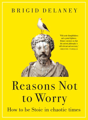 Cover art for Reasons Not to Worry