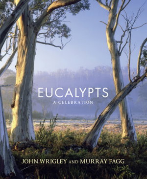 Cover art for Eucalypts A celebration