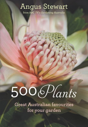 Cover art for 500 Plants