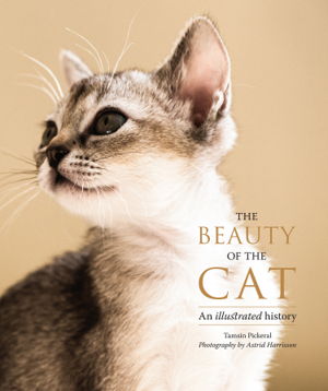 Cover art for Beauty of the Cat
