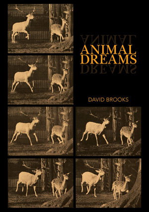 Cover art for Animal Dreams