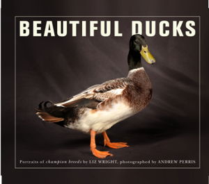 Cover art for Beautiful Ducks