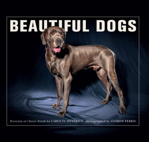 Cover art for Beautiful Dogs