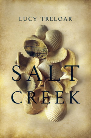 Cover art for Salt Creek
