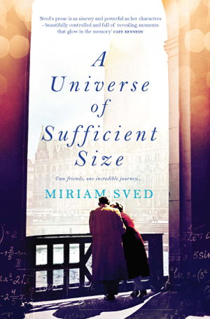 Cover art for A Universe of Sufficient Size