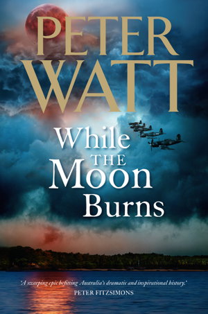Cover art for While the Moon Burns