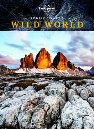 Cover art for Lonely Planet's Wild World