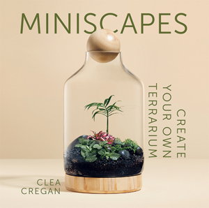 Cover art for Miniscapes