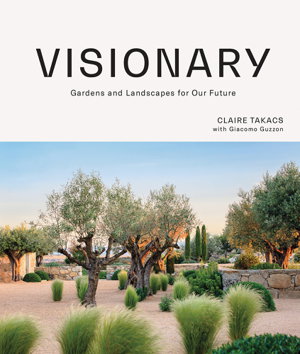 Cover art for Visionary