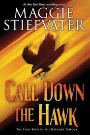 Cover art for Call Down the Hawk