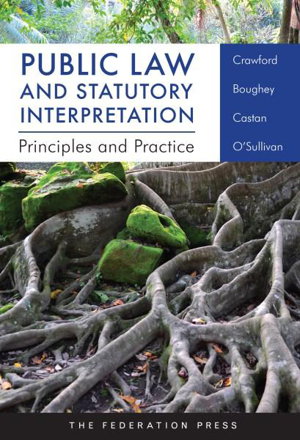 Cover art for Public Law and Statutory Interpretation