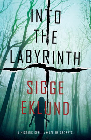 Cover art for Into the Labyrinth