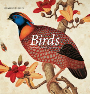 Cover art for Birds