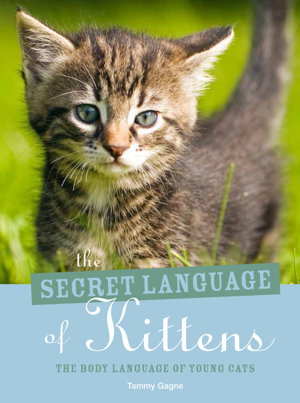 Cover art for Secret Language of Kittens