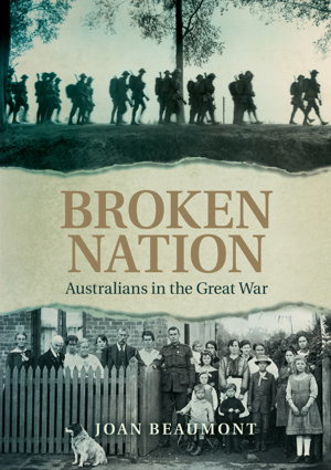 Cover art for Broken Nation