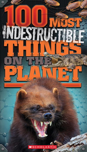 Cover art for 100 Most Indestructible Things on the Planet