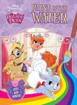 Cover art for Disney Princess Palace Pets Paint with Water