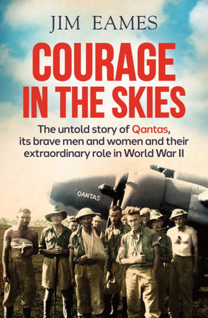 Cover art for Courage in the Skies