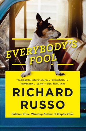 Cover art for Everybody's Fool
