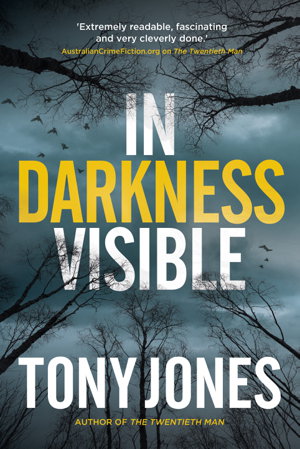 Cover art for In Darkness Visible