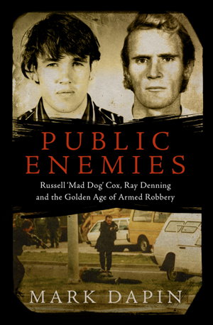 Cover art for Public Enemies