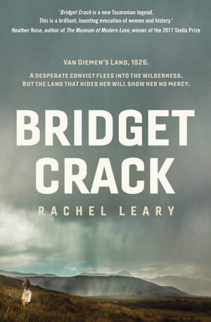 Cover art for Bridget Crack