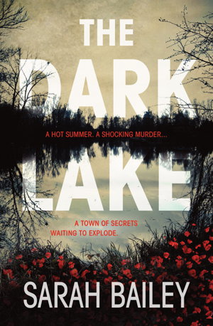 Cover art for Dark Lake