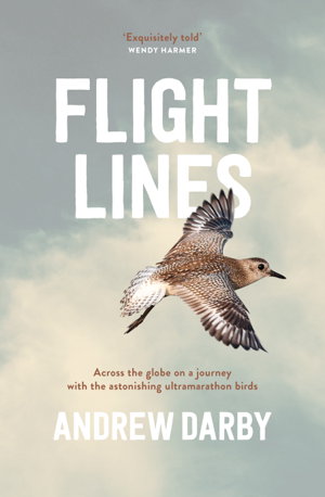 Cover art for Flight Lines
