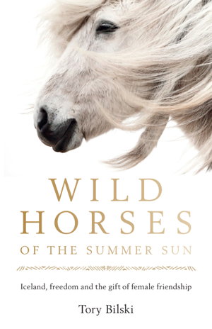 Cover art for Wild Horses of the Summer Sun